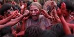 [Concours] Green Inferno gagner