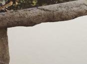 Galerie Downtown PARIS Eternity amp; instantanée CHOI BYUNG HOON Janvier-27 Février 2016