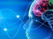 CERVEAU: valeurs profondes sont ancrées dans mode défaut Cerebral Cortex