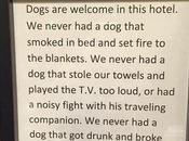 chiens sont bienvenus dans hôtel