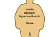 PERTE POIDS: restriction calorique envoie signaux antidiabétiques FEBS Journal