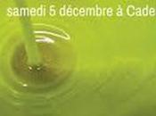 Découvrez l’Huile d’olive ‘nouvelle’ Bastide Laval