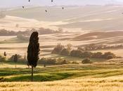 Franck Baudino faut confondre e-santé télémédecine