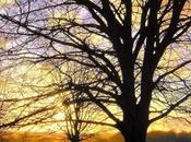 Spiritualité laïque nouvelle culture.