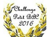Grille récapitulative Challenge Petit 2016