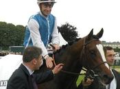 parc d'étalons Europe d'Intello)