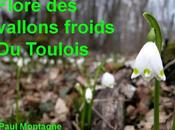Flore vallons froids Toulois