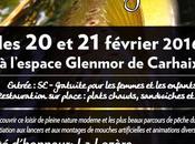 Salon mouche Carhaix