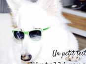 Comment tester l’intelligence chien