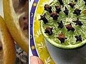 Divers Truc Astuce insectes