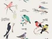 déco Kids idées avec petits oiseaux