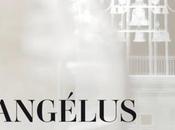 Angelus monographie "pro domo"