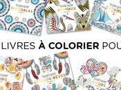 petit livre coloriage Chats