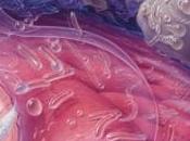 transplantation MICROBIOTE FÉCAL efficace contre Difficile Toulouse