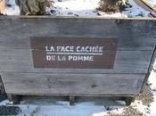 Canada Cidrerie Montégérie