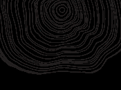 Party éclaté #GeneralSherman