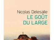 goût large, Nicolas Delesalle