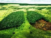 POLITIQUE ÉCONOMIE L’huile Palme bientôt taxée France