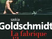 fabrique d'hormones, Saskia Goldschmidt, l'histoire d'un chef d'entreprise et.. addict!!