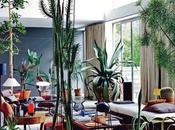 Nouvelle tendance déco plantes oversize