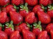 plante fruits: fraisier.