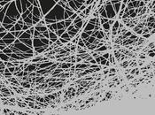 Promenez-vous dans bois...pendant vous êtes encore