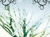 trilogie Trylles, tome Déchirée