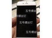 iPhone curieuse photo smartphone sans bordure