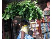 Dicrimination femmes Côte d'Ivoire