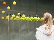 potentiel vitrines magasins