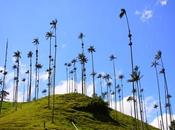 Colombie précieuse, terre d’espoir