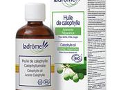 Dîtes stop problèmes peau avec l’huile calophylle Ladrôme