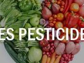 salopards éviter sortables Guide pesticides 2016