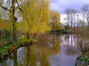 1323. Giverny