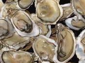 huîtres réagissent micro-plastiques envahissent océans