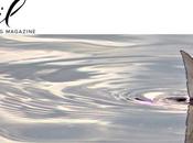 Tail magazine: version papier