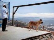 Boutographies Rencontres photographiques Montpellier 2016.