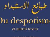 Mirages califat islamique