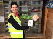 produits frais l’agriculture locale dans distributeurs automatiques