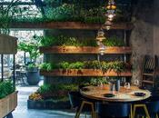 Segev kitchen garden