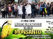 2016 Marche Mondiale contre Monsanto 15:00 Place Verdun Rochelle