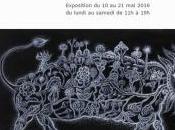 galerie MOISAN exposition Métamorphosis peinture dessin CHANG 10/21 2016