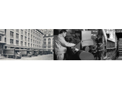 Cake léger farine Froment Epices biscuits