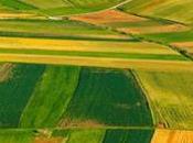 Comment l’accord libre-échange Tafta pourrait laminer l’agriculture européenne