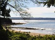 Cinq choses faire absolument Vancouver