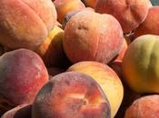 Monnaies locales: initiatives multiplient mais leur rayonnement reste limité