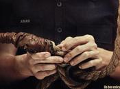 Cinéma Apprentice, infos