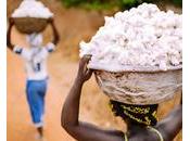 L’africapitalisme tremplin pour agriculture prospère