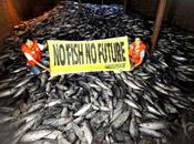 Quand océans seront vidés leurs poissons