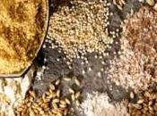 NUTRITION: Céréales grains entiers, l'aliment satiété longévité Circulation